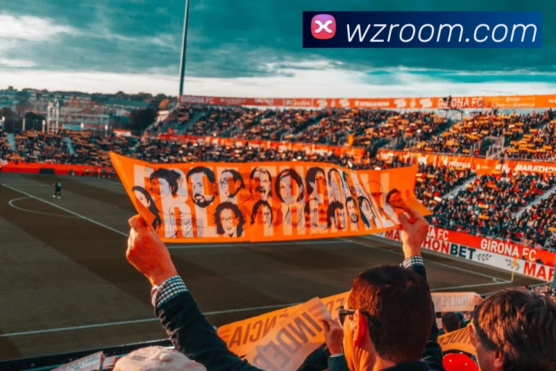 王者直播官网发展历程